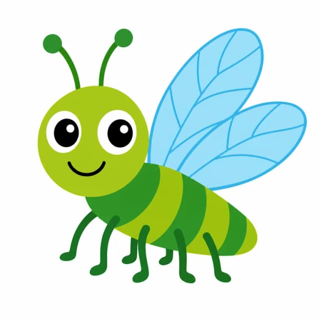 insect