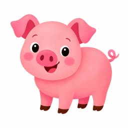 pig
